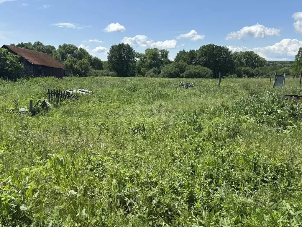 Участок в Саратовская область, Балашовский район, с. Большой Мелик ... - Фото 1