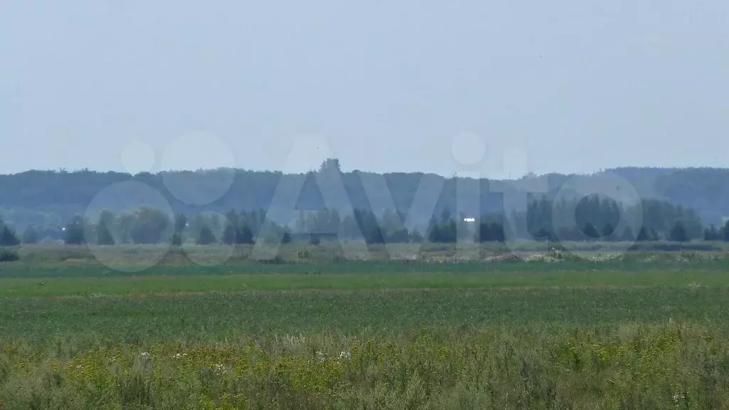 Участок 7,3 сот. (ИЖС) - Фото 1