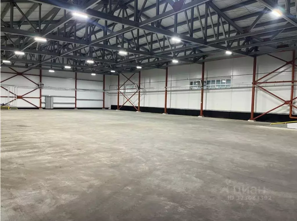 Склад в Московская область, Чехов Московская ул., 14с2 (960 м) - Фото 2