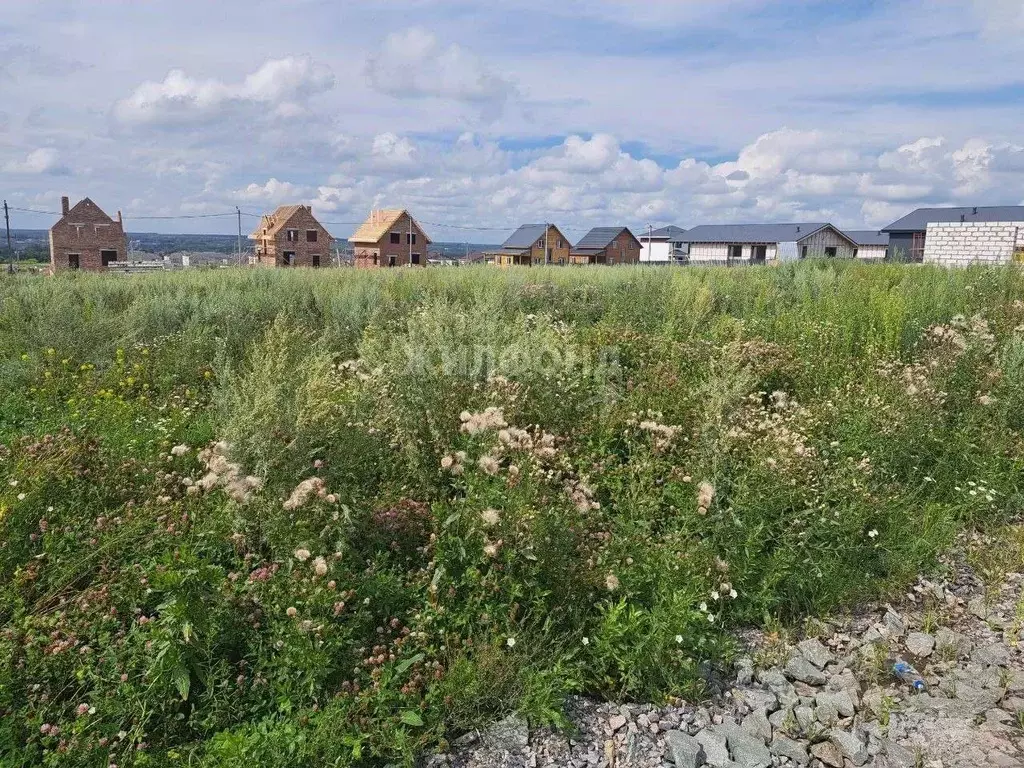 Участок в Новосибирская область, Новосибирский район, Каменский ... - Фото 0