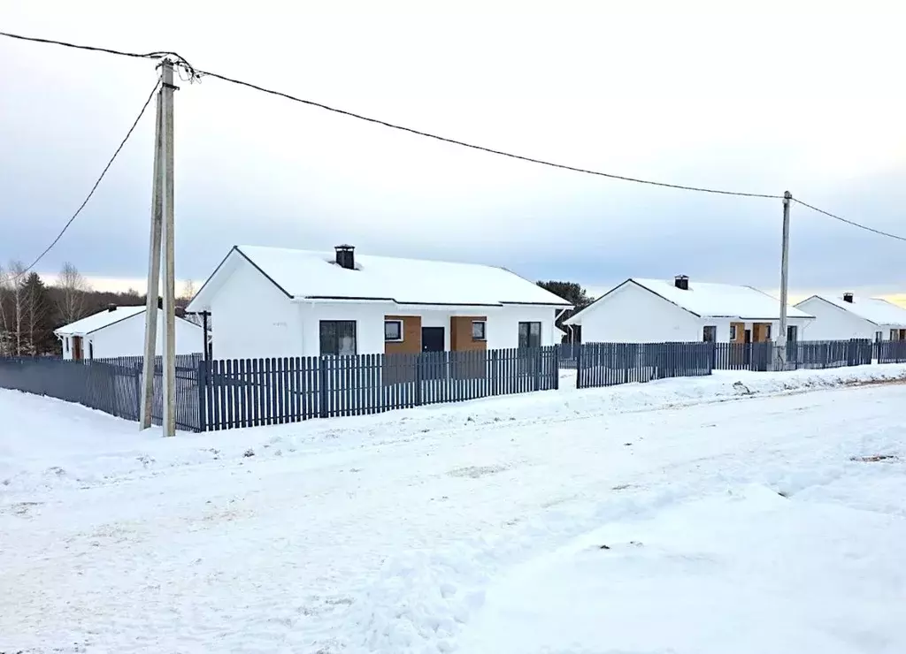 Дом в Нижегородская область, Богородский муниципальный округ, д. ... - Фото 1