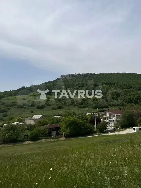 Участок в Ленинградская область, Лужский район, Мшинское с/пос, ... - Фото 1