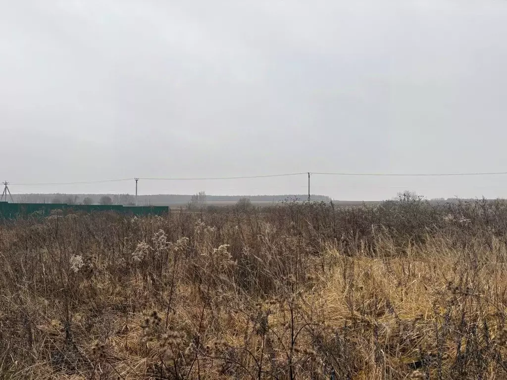 Участок в Московская область, Воскресенск городской округ, д. ... - Фото 1