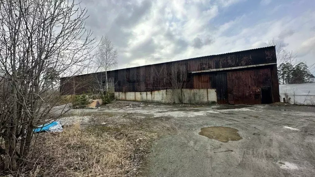 Производственное помещение в Свердловская область, Екатеринбург ... - Фото 2