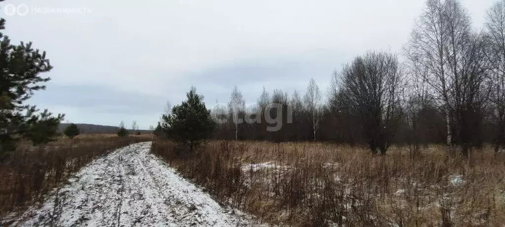 Участок в Ковровский район, муниципальное образование Малыгинское, ... - Фото 0