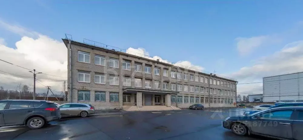 Офис в Санкт-Петербург ул. 2-я Поперечная, 15А (113 м) - Фото 1