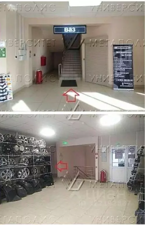 Помещение свободного назначения в Московская область, Мытищи городской ... - Фото 2