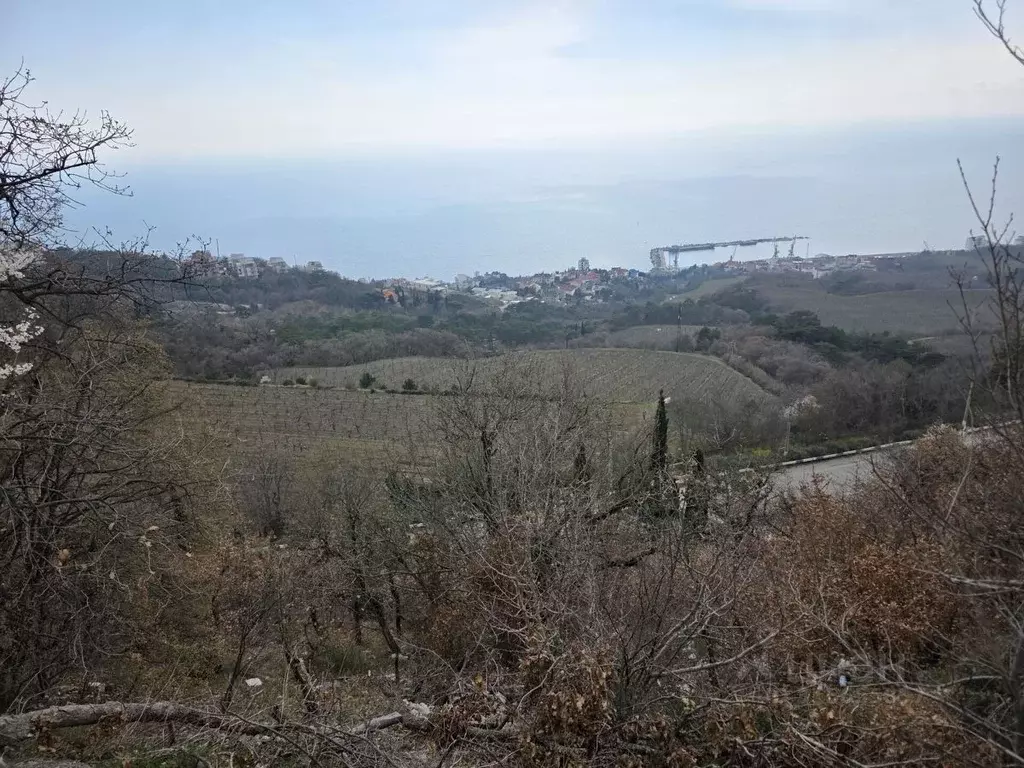 Участок в Крым, Ялта городской округ, Массандра пгт ш. ... - Фото 0