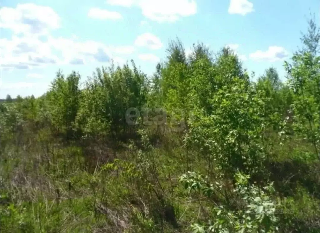 Участок в Калужская область, Калуга городской округ, д. Лихун ул. 1-я ... - Фото 1