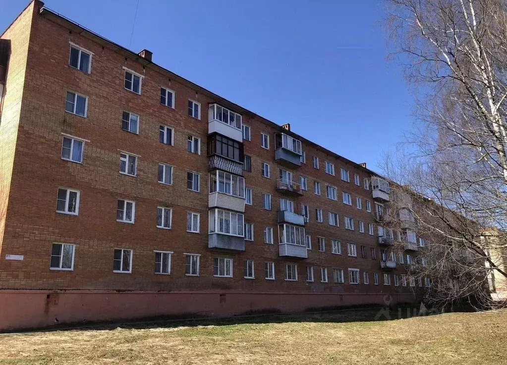 2-к кв. Московская область, Красноармейск Пушкинский городской округ, ... - Фото 1
