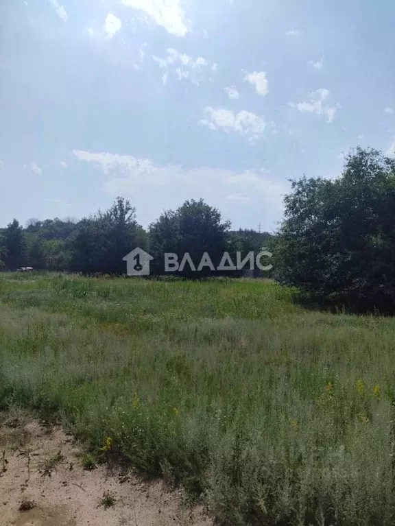 Участок в Воронежская область, Рамонский район, Березовское с/пос, д. ... - Фото 1