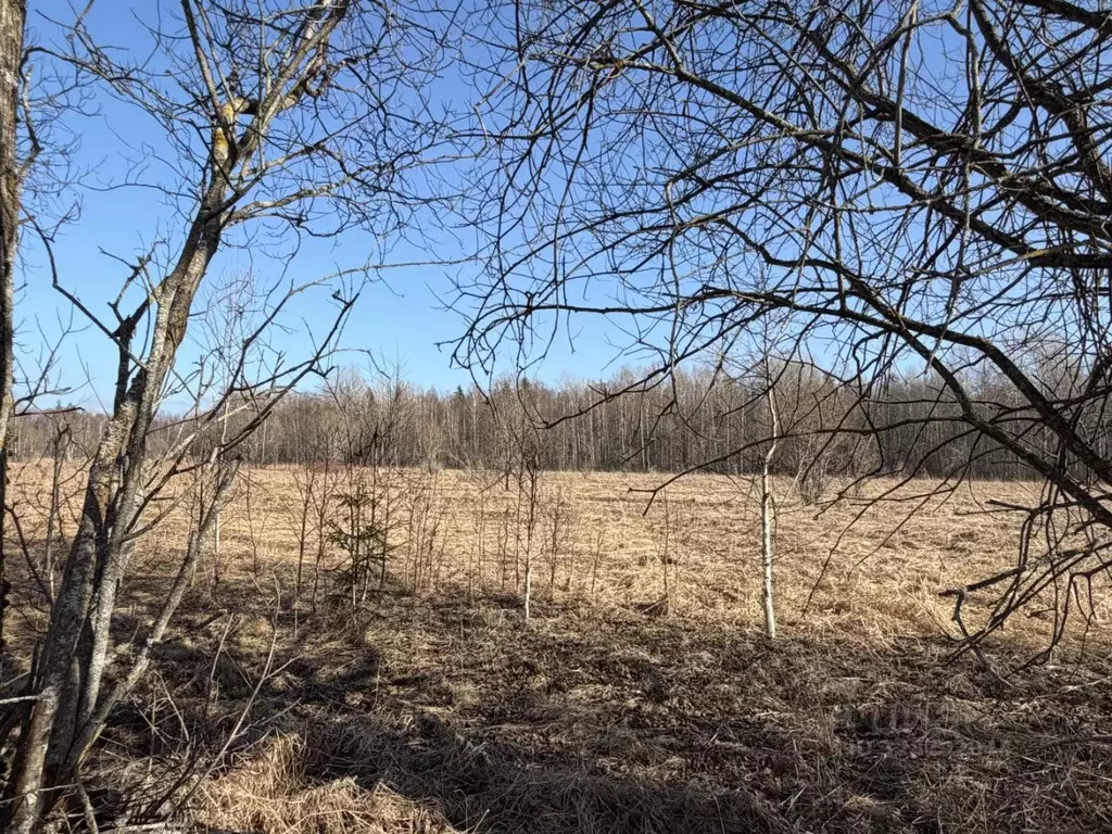 Участок в Ленинградская область, Приозерский район, Ромашкинское с/пос ... - Фото 2