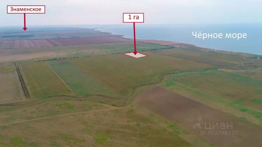 Участок в Крым, Черноморский район, Окуневское с/пос  (100.0 сот.) - Фото 2