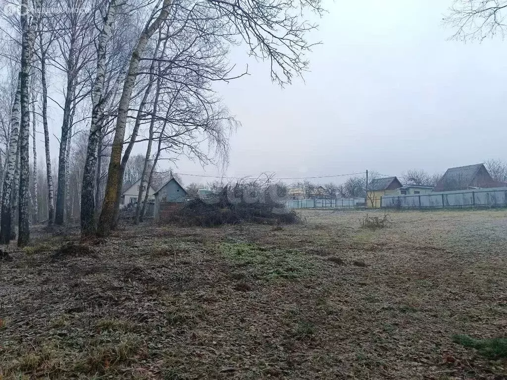 Участок в Толмачево, садовые участки Импульс (15.25 м) - Фото 1