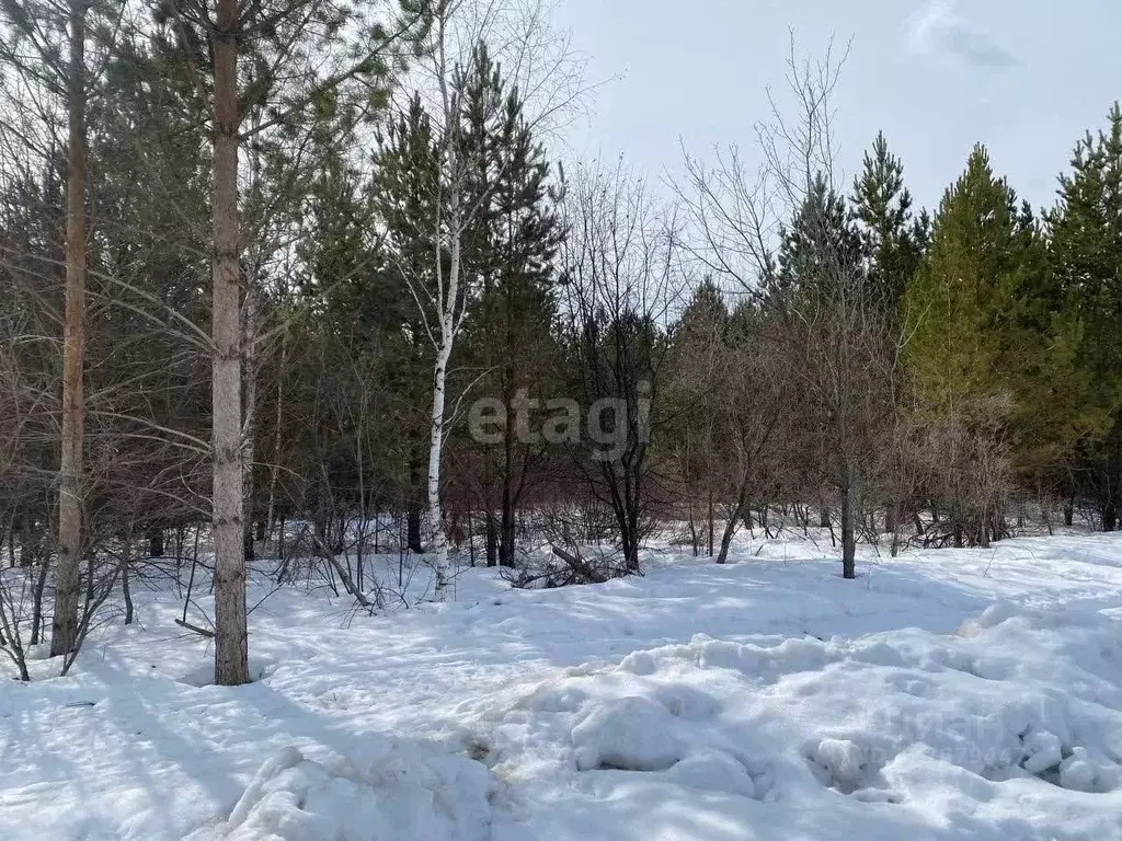Участок в Свердловская область, Талица ул. Луначарского (10.6 сот.) - Фото 1