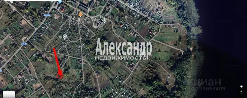 Участок в Ленинградская область, Приозерский район, Красноозерное ... - Фото 2