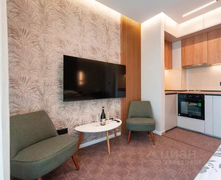 Студия Краснодарский край, Сочи ул. Кирова, 28А (25.0 м) - Фото 1