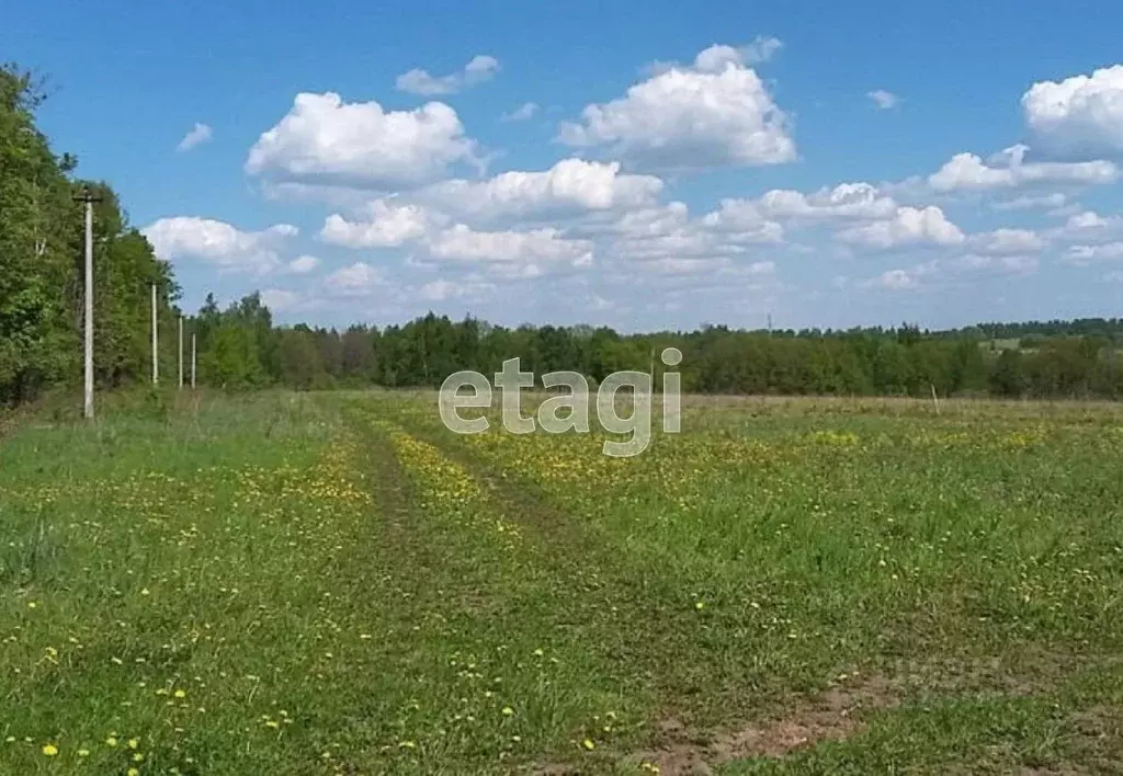 Участок в Тверская область, Старицкий муниципальный округ, д. Кулотино ... - Фото 1
