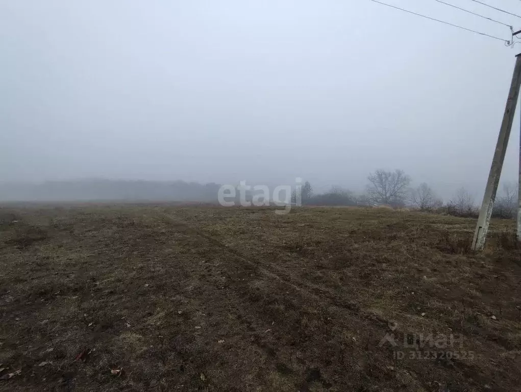 Участок в Белгородская область, Яковлевский муниципальный округ, с. ... - Фото 1