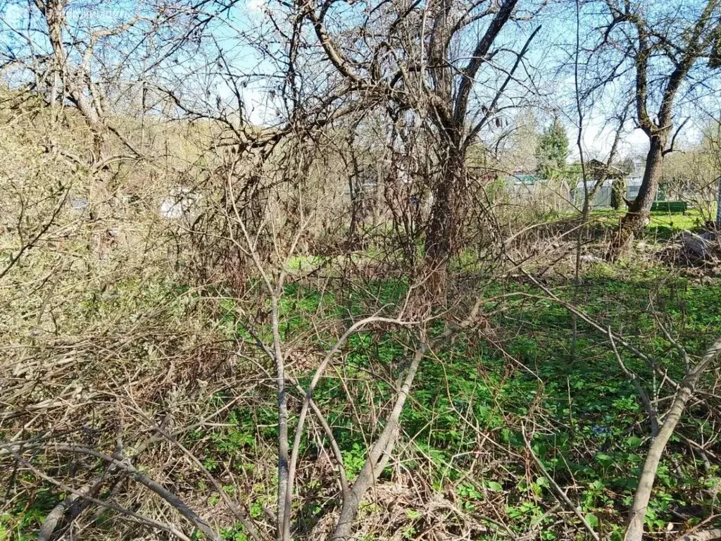 Участок в Нижний Новгород, СНТ Дубрава, 204 (6.1 м) - Фото 1