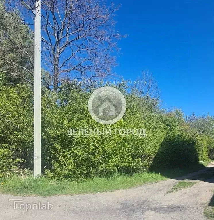 Участок в Калининградская область, Пионерский Ягодка СНТ,  (6.0 сот.) - Фото 1