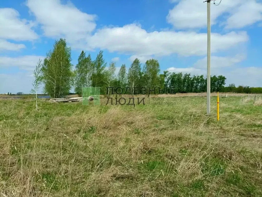 Участок в Курганская область, Курган ул. Д.В. Чичулина (13.26 сот.) - Фото 1
