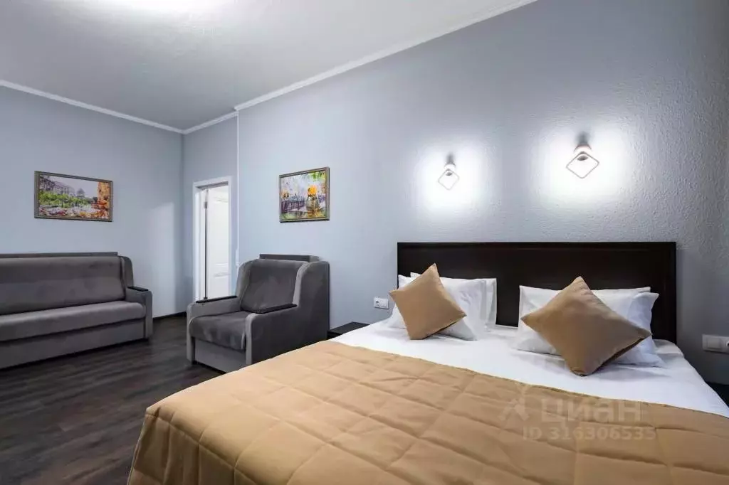 Комната Санкт-Петербург Пушкинская ул., 16 (10.0 м) - Фото 1
