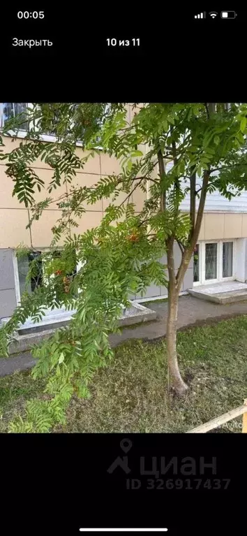 Помещение свободного назначения в Тверская область, Тверь Октябрьский ... - Фото 2