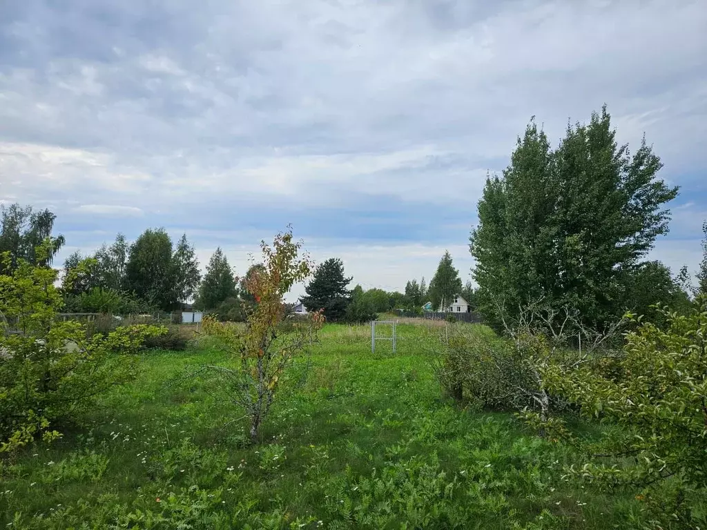 Дом в Новгородская область, Новгородский район, Ракомское с/пос, д. ... - Фото 2