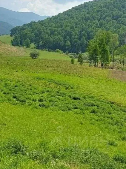 Участок в Алтай, Шебалинский район, с. Шебалино Советская ул. (330.0 ... - Фото 0