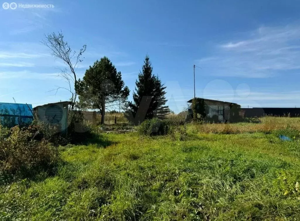 Участок в Московская область, Дмитровский муниципальный округ, деревня ... - Фото 2