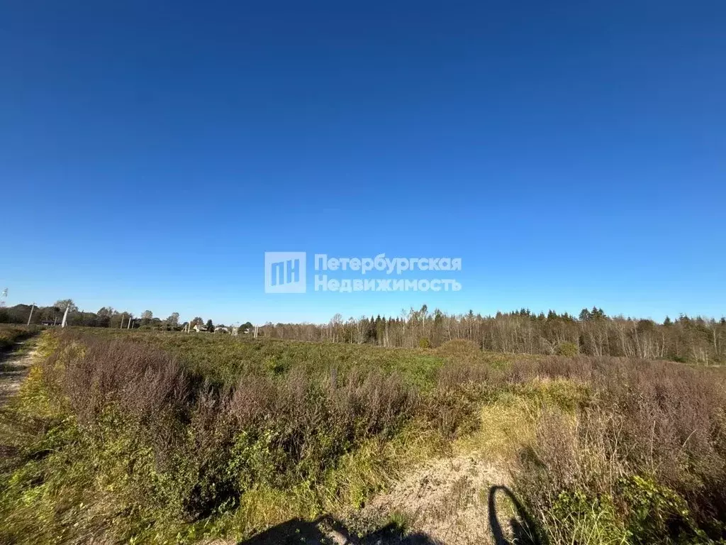 Участок в Ленинградская область, Лужский район, Толмачевское городское ... - Фото 1