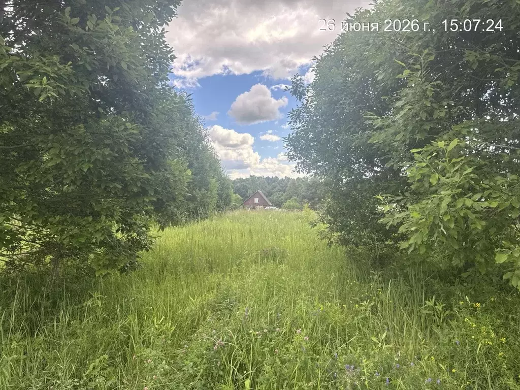 Участок в Московская область, Наро-Фоминский городской округ, д. ... - Фото 1