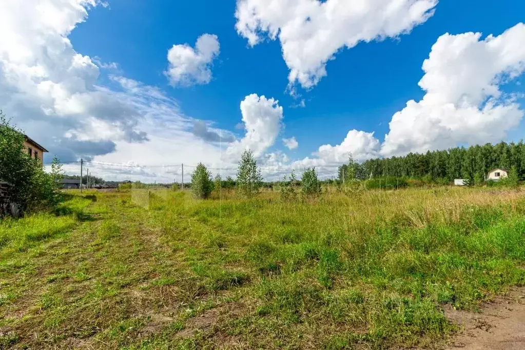 Участок в Курганская область, Белозерский муниципальный округ, д. ... - Фото 1