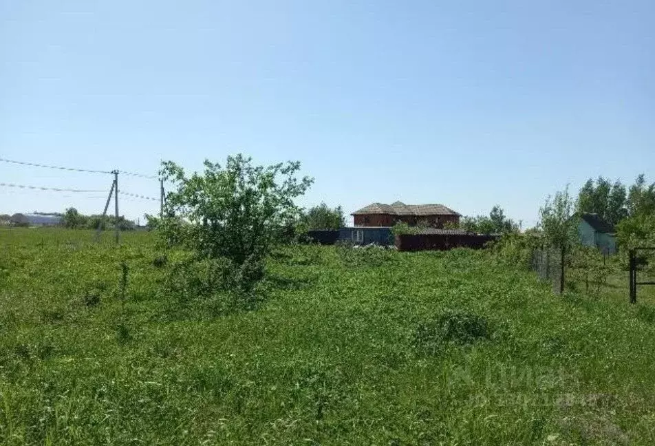 Участок в Московская область, Дмитровский муниципальный округ, д. ... - Фото 2
