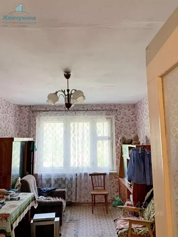 2-к кв. Ульяновская область, Димитровград ул. Курчатова, 42 (51.0 м) - Фото 0