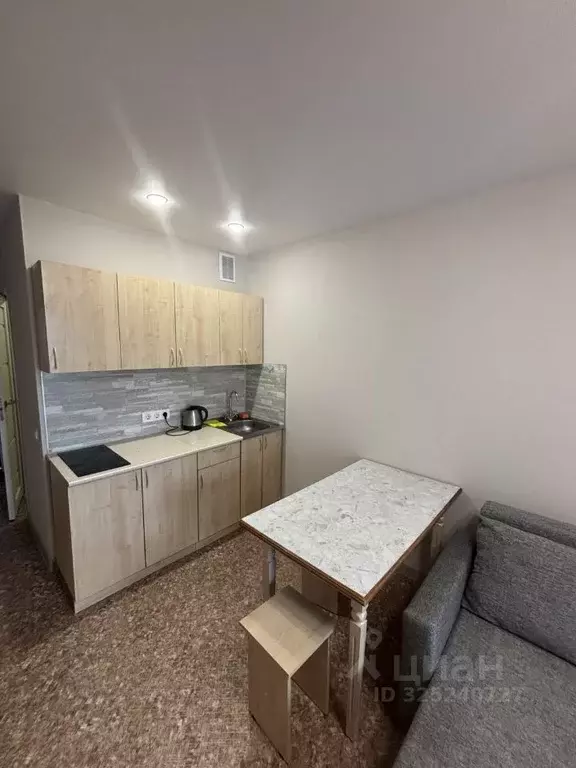 Студия Алтайский край, Барнаул Песчаная ул., 19 (27.0 м) - Фото 1