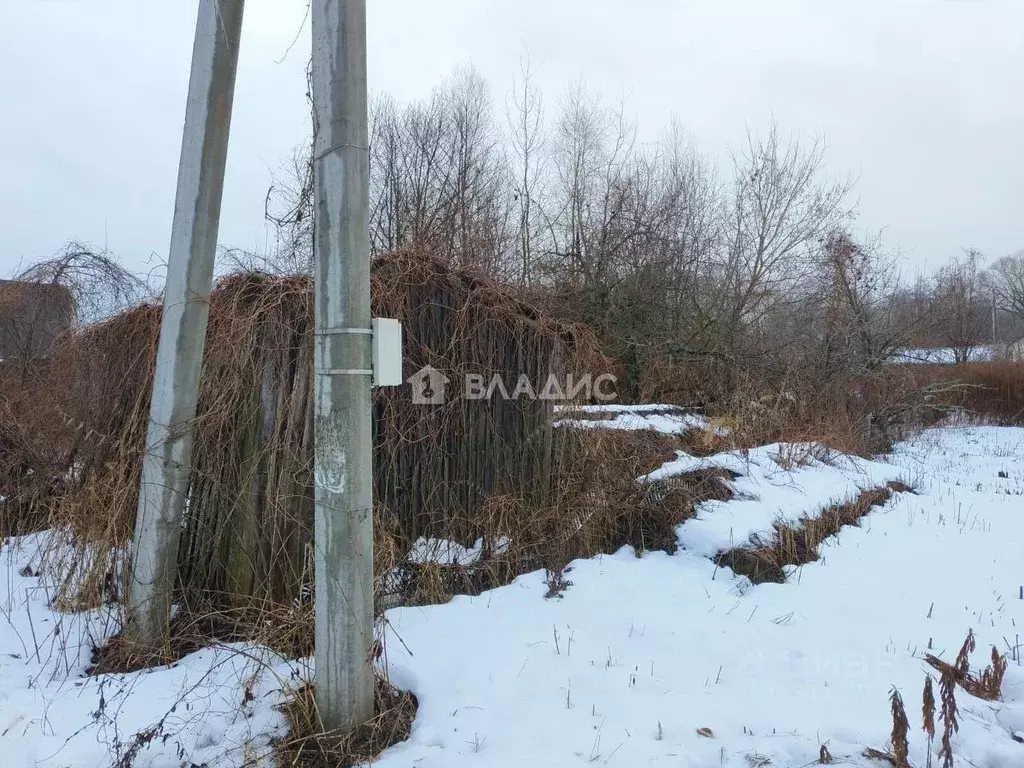 Участок в Владимирская область, Суздальский район, Новоалександровское ... - Фото 0