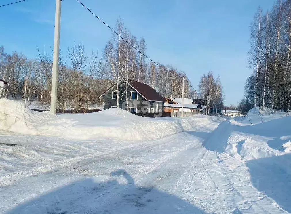 Участок в Новосибирская область, Новосибирский район, с. Раздольное ... - Фото 0