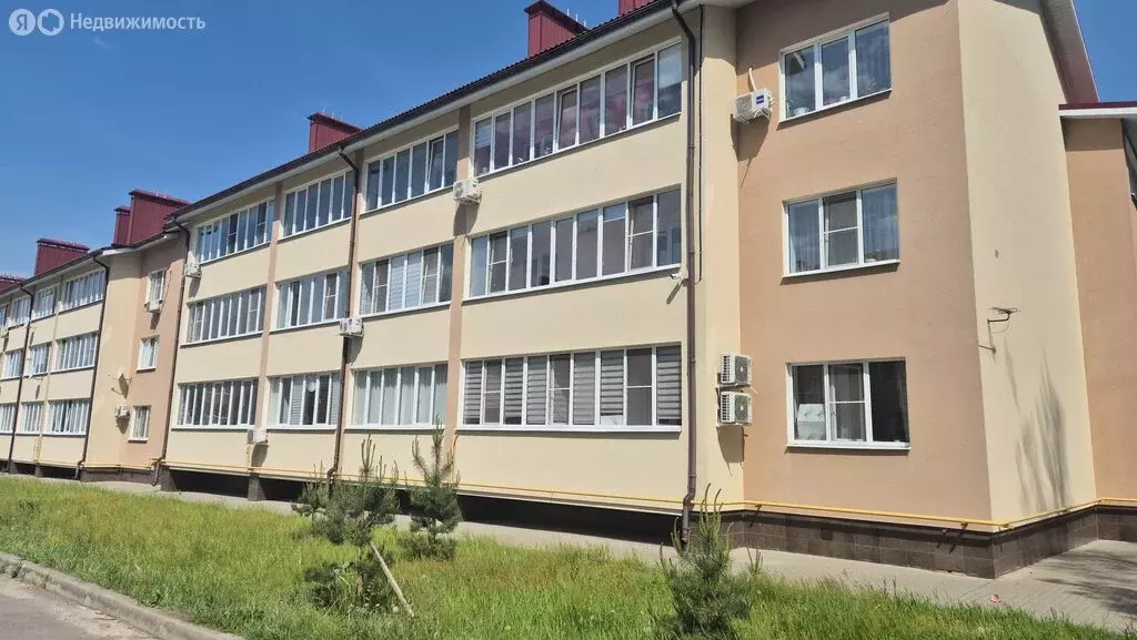 1-комнатная квартира: село Ямное, улица Атамана Белова, 2/2 (50 м) - Фото 2