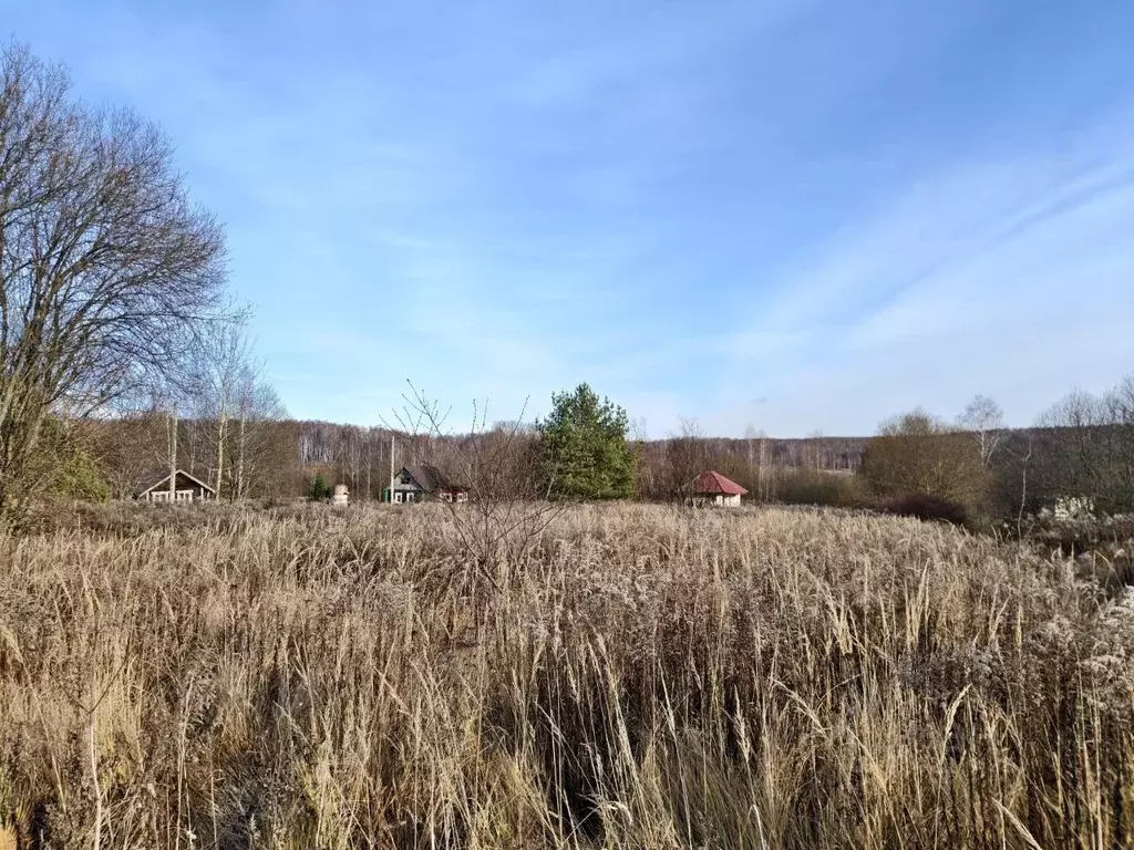 Участок в Тульская область, Веневский муниципальный округ, д. ... - Фото 1