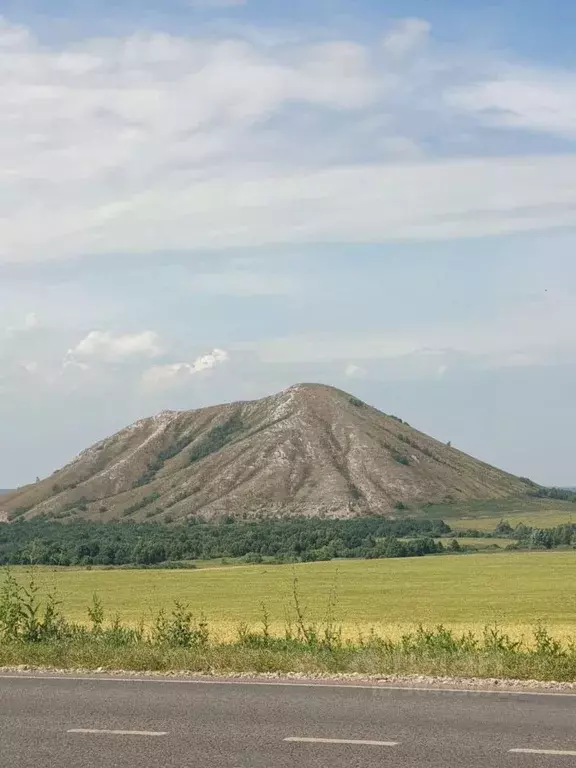 Участок в Башкортостан, Стерлитамакский район, Алатанинский сельсовет, ... - Фото 0