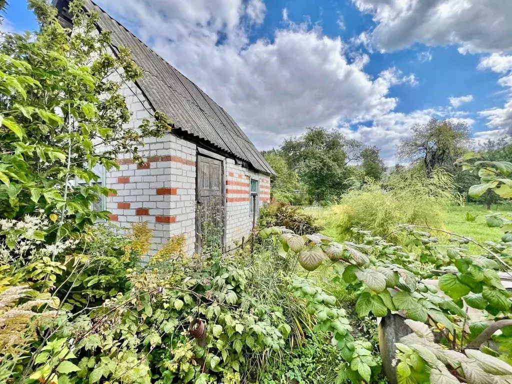 Участок в Брянская область, Брянск Коммунальник садовое общество,  ... - Фото 2