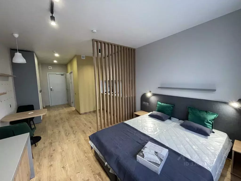 Студия Санкт-Петербург дор. На Турухтанные острова, 5к1 (27.2 м) - Фото 2