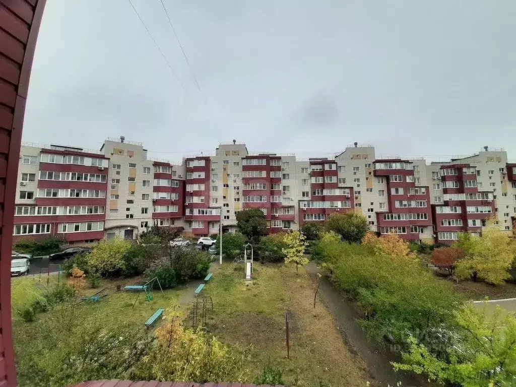 1-к кв. Белгородская область, Белгородский район, Дубовское с/пос, ... - Фото 1