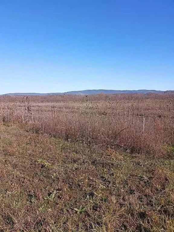 Участок в Краснодарский край, Новороссийск городской округ, Раевская ... - Фото 0