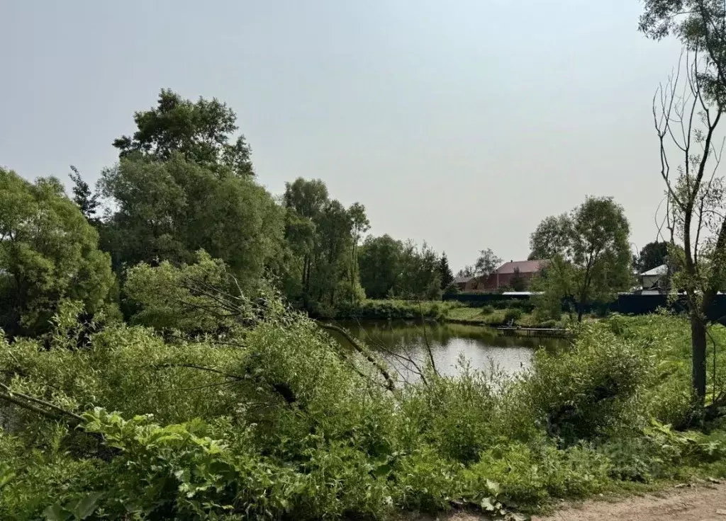 Участок в Московская область, Домодедово Новое Косино кп, 117 (12.0 ... - Фото 1