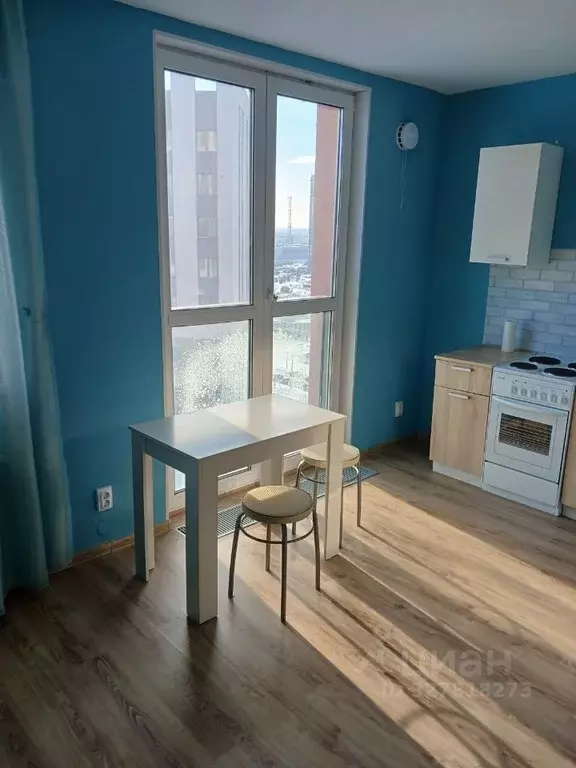 Студия Свердловская область, Екатеринбург ул. Рябинина, 47 (27.3 м) - Фото 2