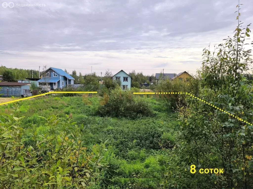 Участок в Кировский район, Синявинское городское поселение, ... - Фото 1