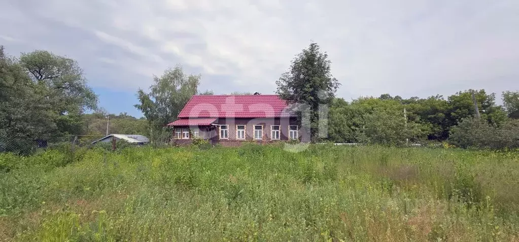 Дом в Тульская область, Киреевск Колхозная ул., 19 (60 м) - Фото 1